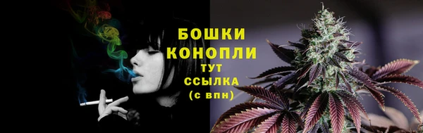 МДПВ Богданович