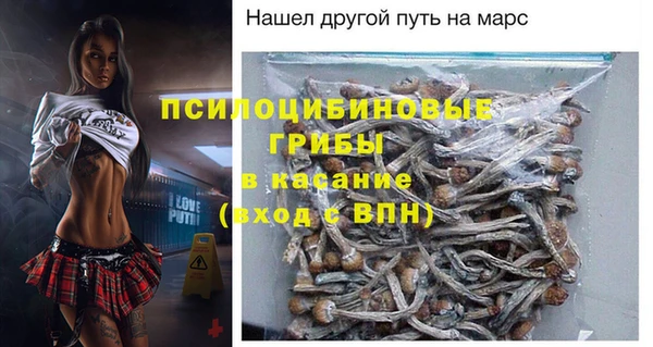 МДПВ Богданович