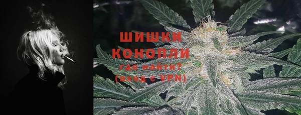 МДПВ Богданович