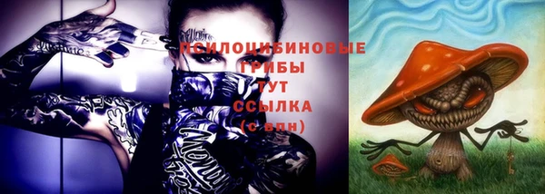 МДПВ Богданович