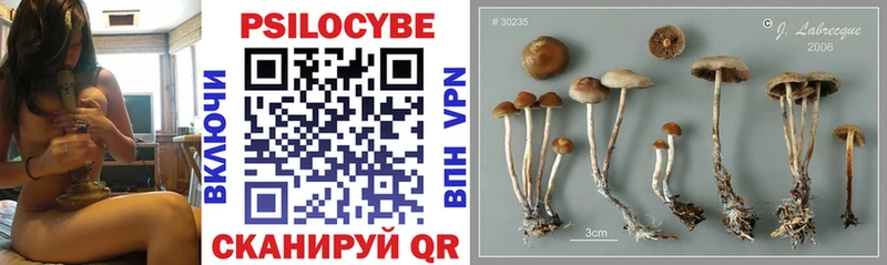 Псилоцибиновые грибы GOLDEN TEACHER Туран